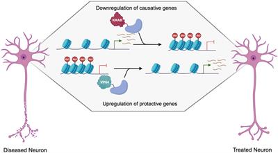 Epigenetic editing for autosomal dominant neurological disorders